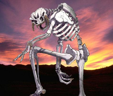 Rooka Skeleton